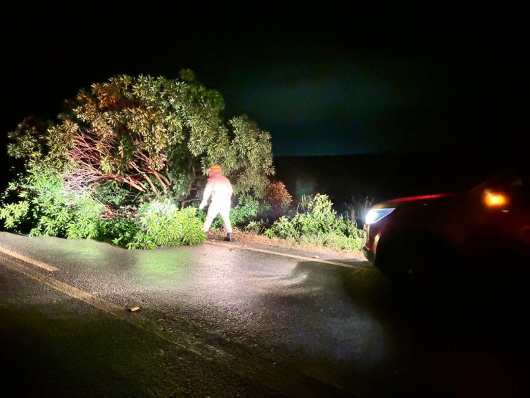 Ventos derrubam árvore em rodovia na região de Cumari