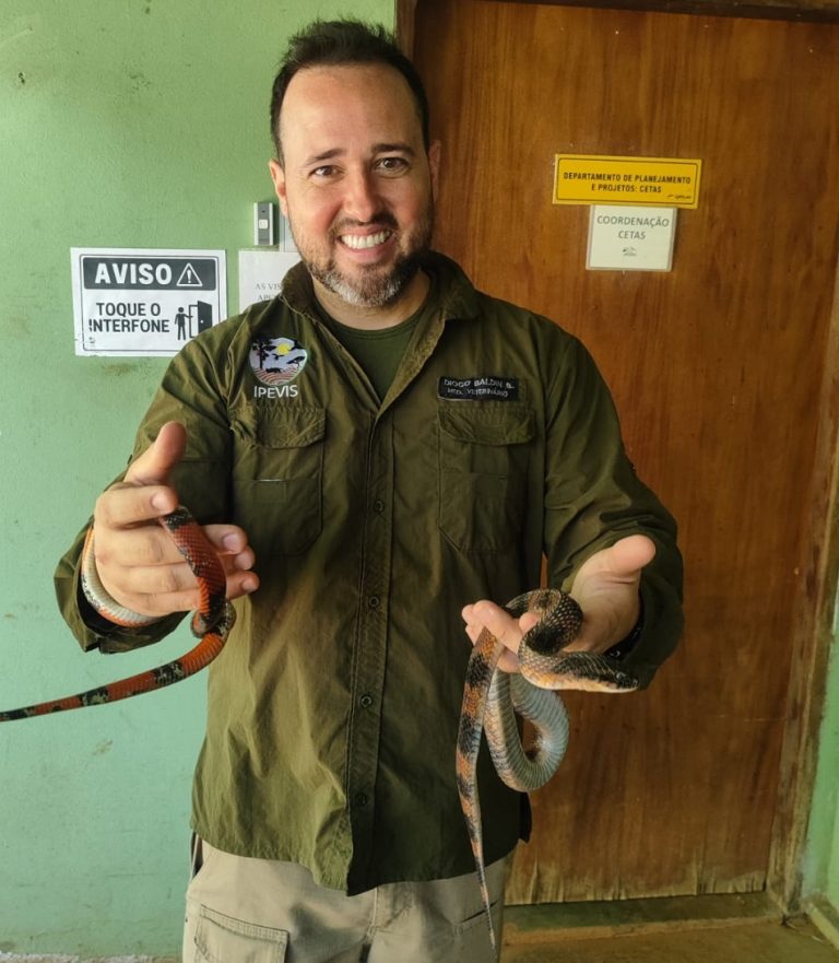 Catalão: CETAS reabilita mais de 2 mil animais