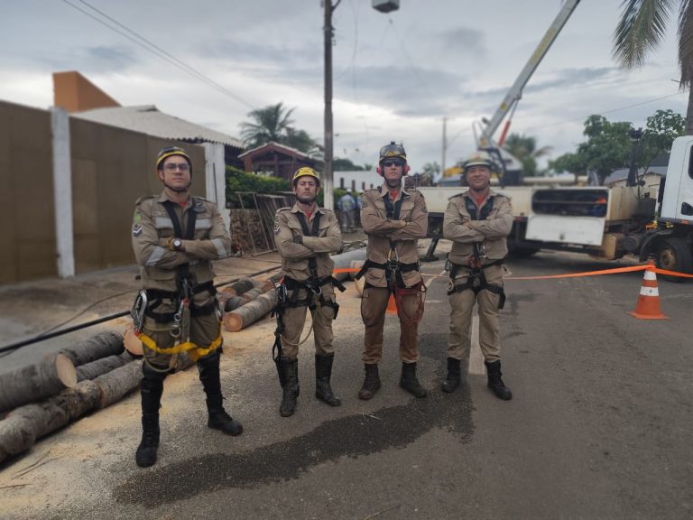 Bombeiros removem árvores com risco em Três Ranchos