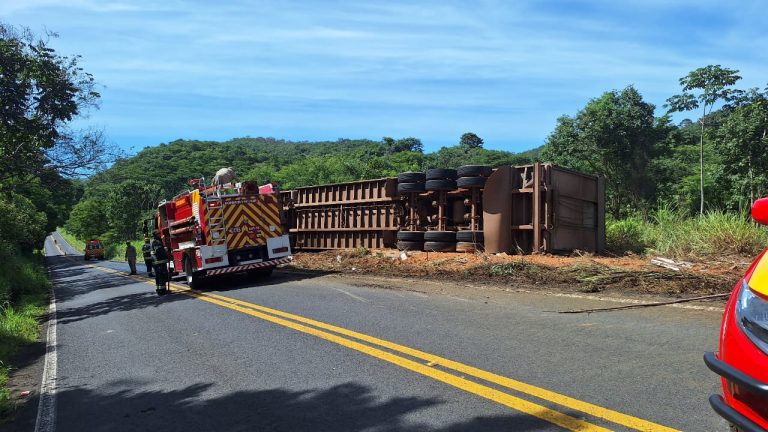 Motorista e 20 novilhos são mortos após capotamento de carreta na GO-213, em Ipameri