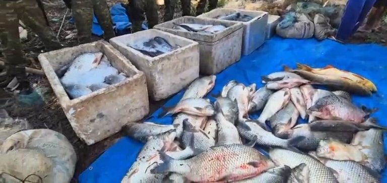 Polícia apreende 1 tonelada de pescado em Catalão
