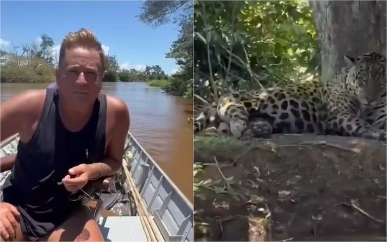 Cantor Leonardo fica cara a cara com uma onça no Pantanal