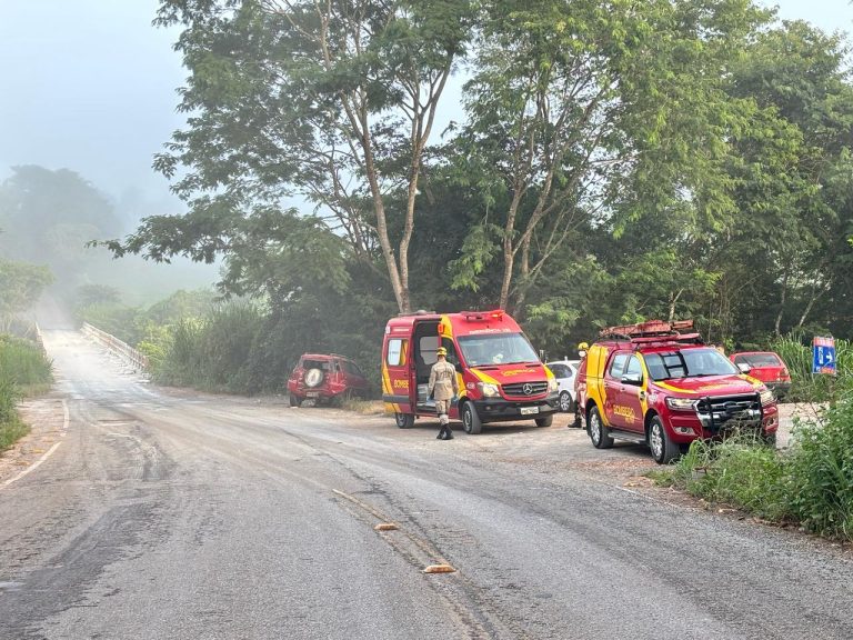 Idoso ferido em acidente na GO-210 após caminhão perder os freios