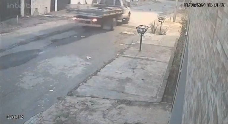 Polícia Civil identifica condutor responsável por atropelamento de 4 animais em Catalão