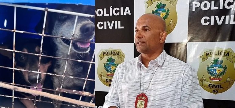 Polícia prende idoso por abuso de cadela em Cumari