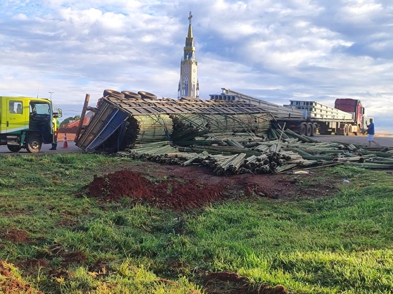 Carreta carregada com bambu tomba na BR-050, em Catalão