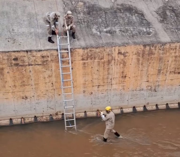 Bombeiros resgatam cão ilhado no Córrego do Pirapitinga, em Catalão