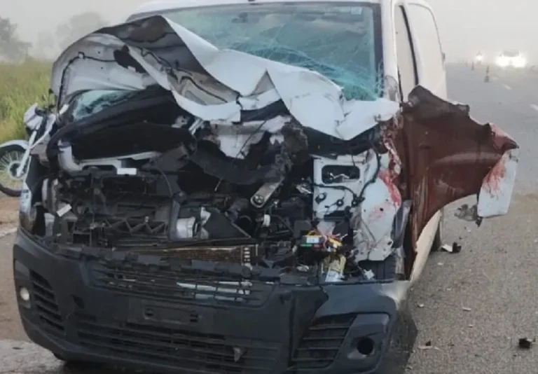 Carro de funerária atropela cavalos soltos e deixa ferido na BR-050, em Catalão