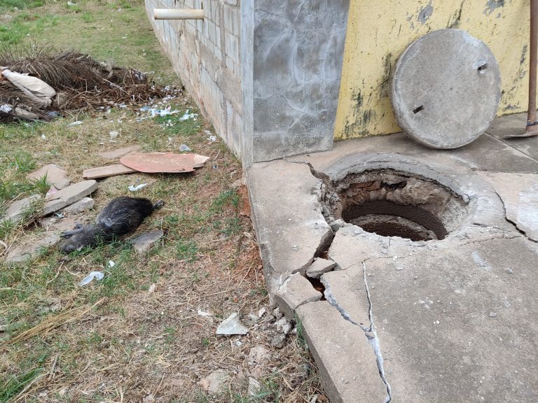 Capivara morta entope rede de esgoto próximo a represa do Clube do Povo, em Catalão