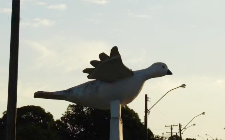 Palmelo é a única cidade do Brasil com maioria espírita, revela IBGE