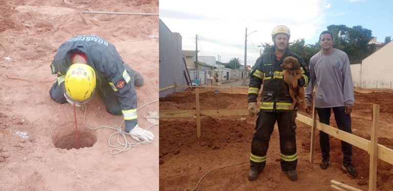 Bombeiros resgatam filhote de cachorro que caiu em buraco de obra em Ipameri