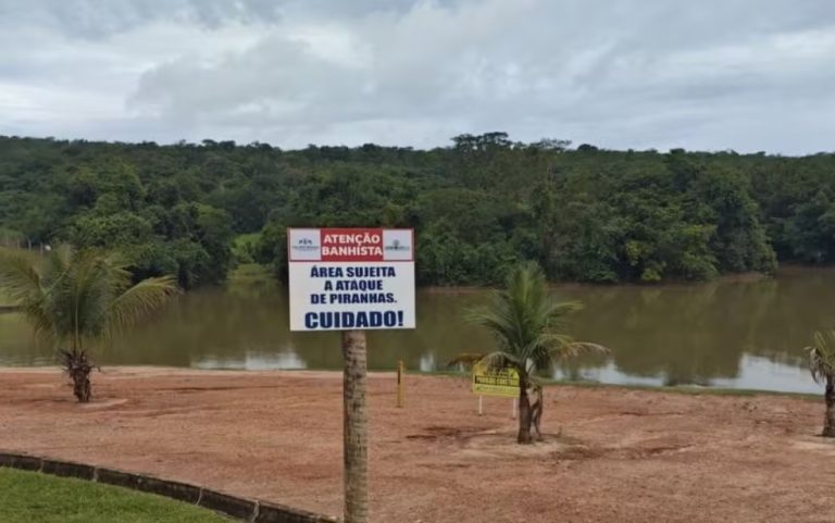 Criança perde dois dedos do pé ao ser atacada por piranha, em lago de Caldas Novas