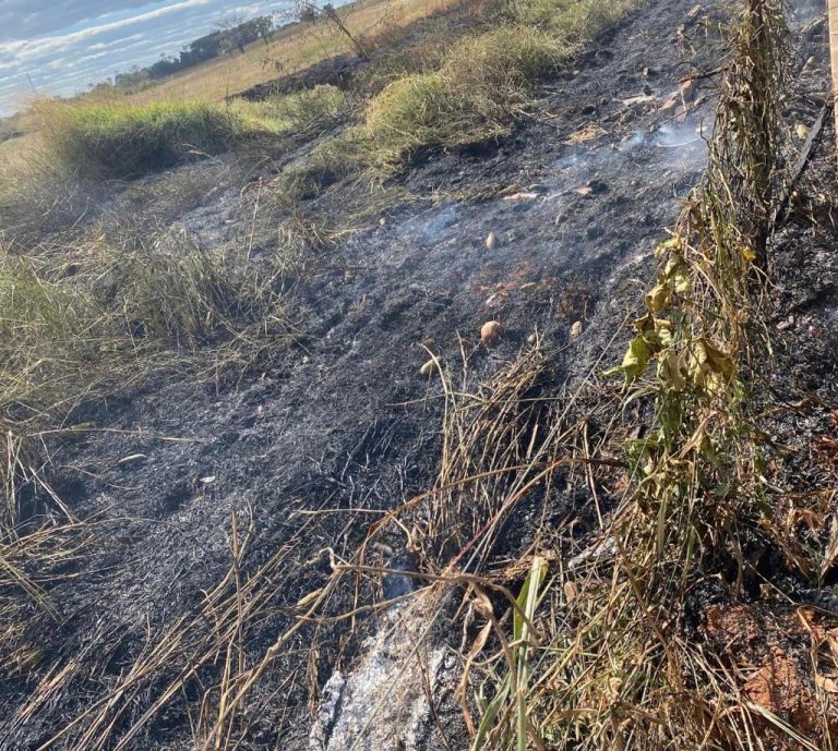 Homem é detido por provocar incêndio em pastagem no bairro Ipanema, em Catalão