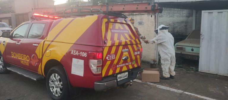 Enxame de abelhas ataca moradores no centro de Catalão e deixa idoso ferido