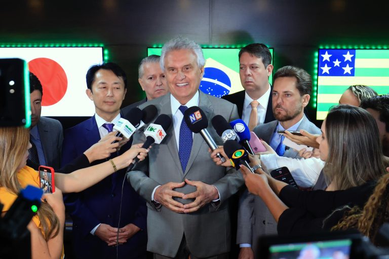 Goiás e Japão firmam parceria para exploração de terras raras