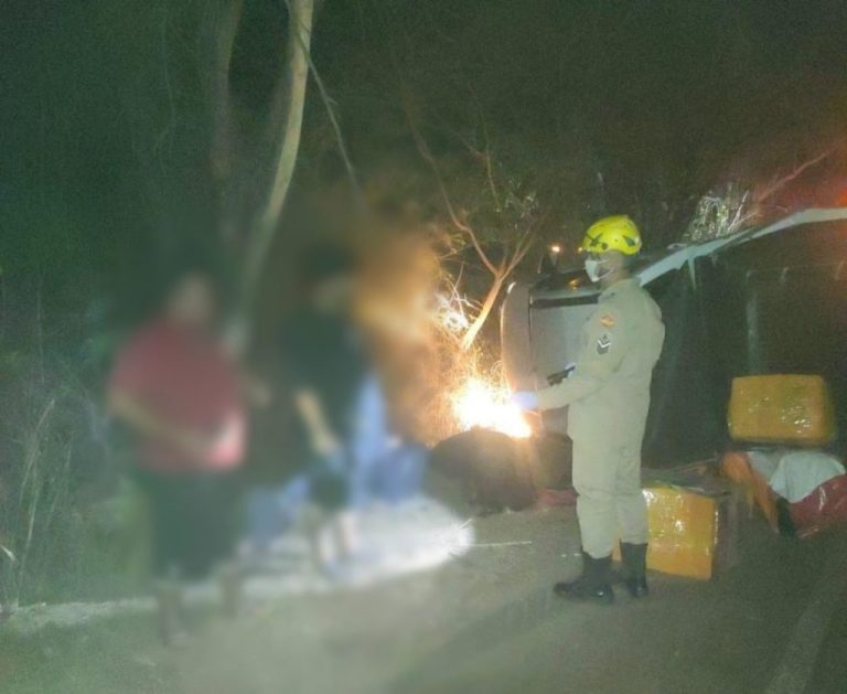 Carro capota ao desviar de árvore na GO-330, entre Ipameri e Catalão