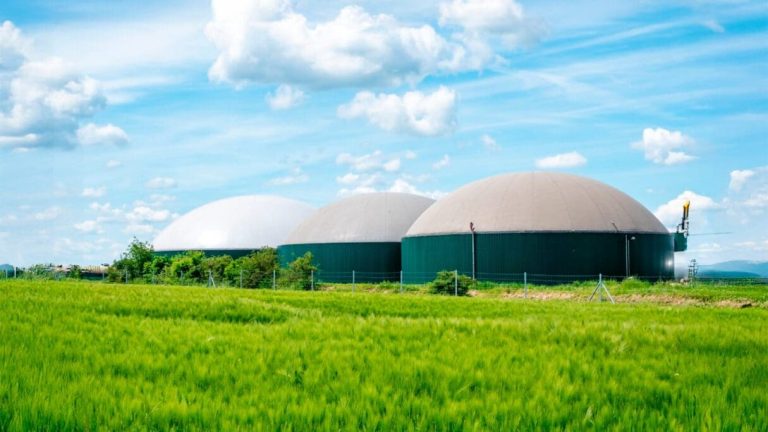 Governo de Goiás destina até R$ 2 milhões para projetos de transição energética no campo