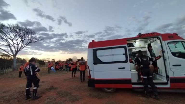 Ataque de abelhas deixa 15 feridos em retiro religioso