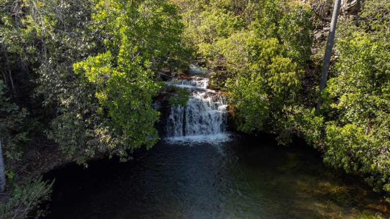 Goiás remunera produtores rurais que preservam o cerrado