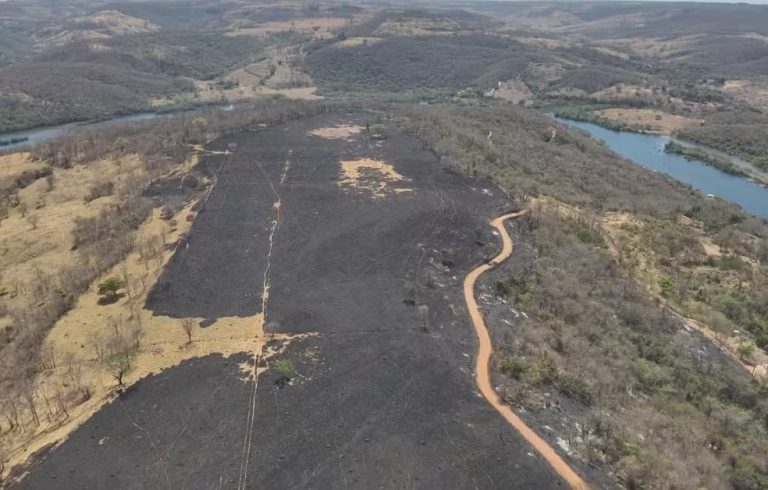 Incêndios em série atingem pelo menos três grandes áreas de Uberlândia