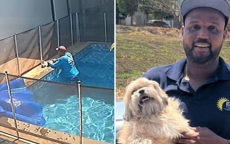 Piscineiro salva cachorro cego de afogamento em Goiânia