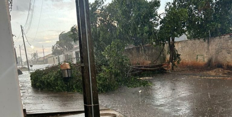 Temporal com ventos de até 90 km/h causa estragos em Catalão; previsão indica mais chuva no fim de semana