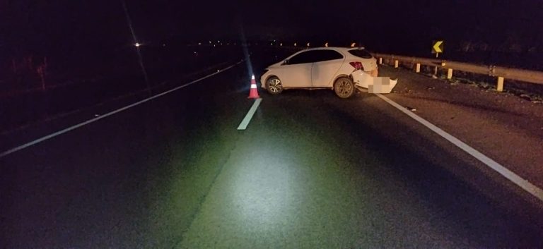 Mãe e filha ficam feridas após carro bater em defensa metálica na BR-050, em Campo Alegre de Goiás