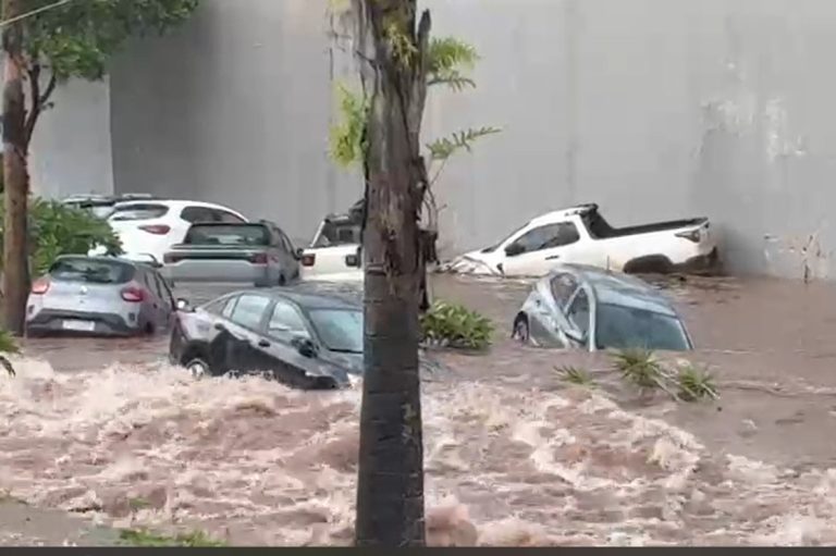 Chuva forte causa estragos em Rio Verde, com ventos de quase 92 km/h e 80 mm de água em 20 minutos