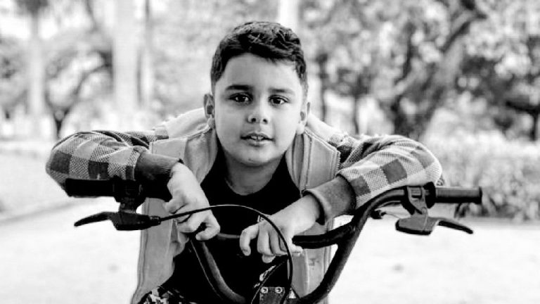 Menino de 9 anos atacado por abelhas em Catalão, morre em hospital de Uberlândia