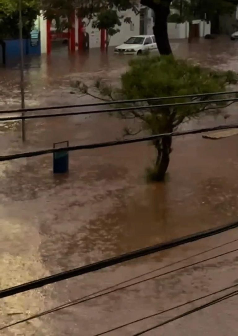 Temporal de mais de 70 milímetros provoca alagamentos e destruição em Araguari