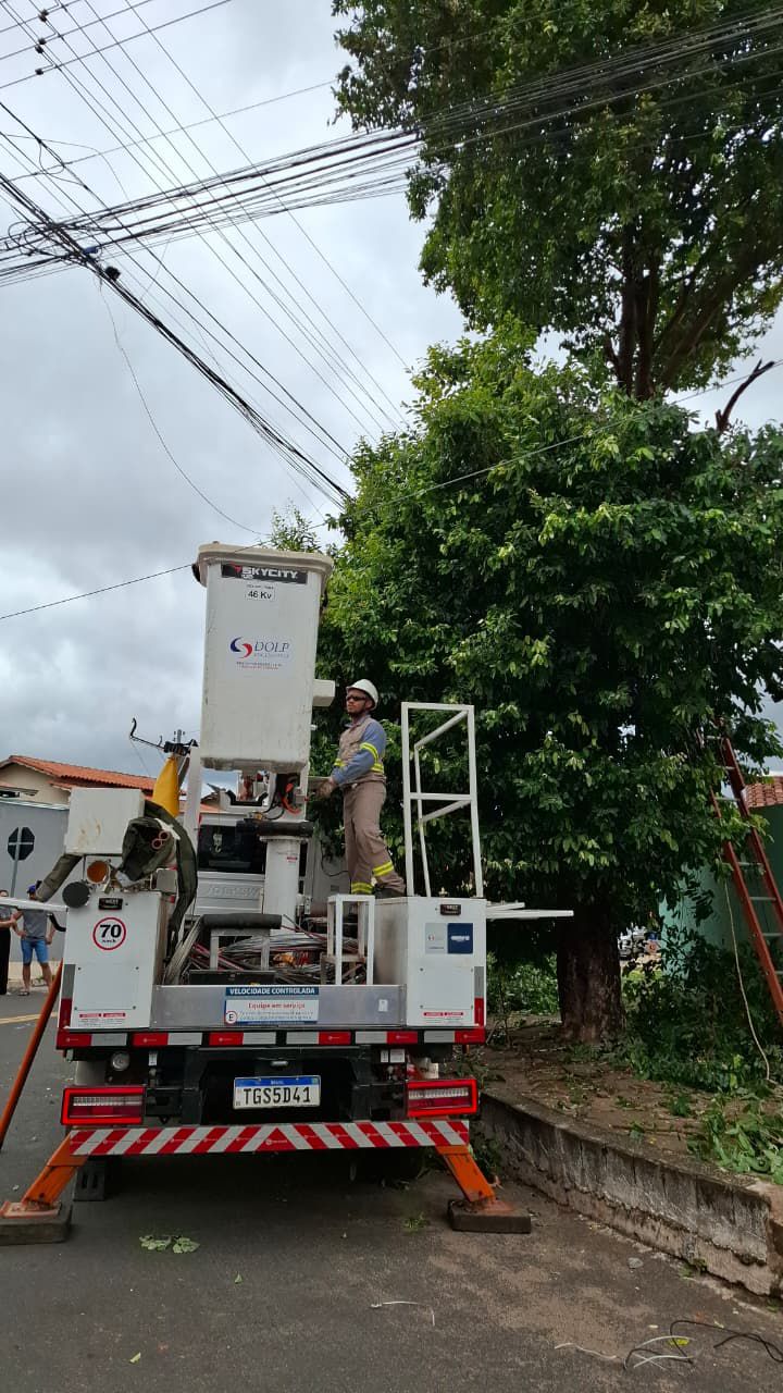 Homem morre após sofrer choque elétrico durante poda de árvore em Caldas  Novas - Badiinho