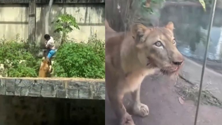 Jovem invade área restrita, é atacado e morre no Zoológico da Bica, na capital paraibana