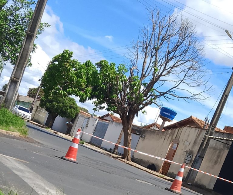 Situação de risco: moradores alertam para árvore prestes a cair no Teotônio Vilela