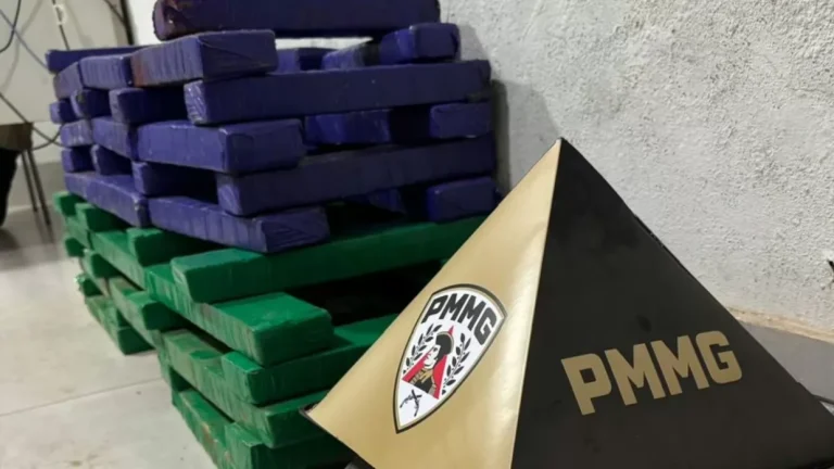 PM apreende 60 kg de maconha e prende suspeito próximo à BR-050, em Araguari
