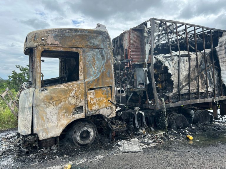 PRF registra incêndio em carreta na BR-050, em Campo Alegre de Goiás