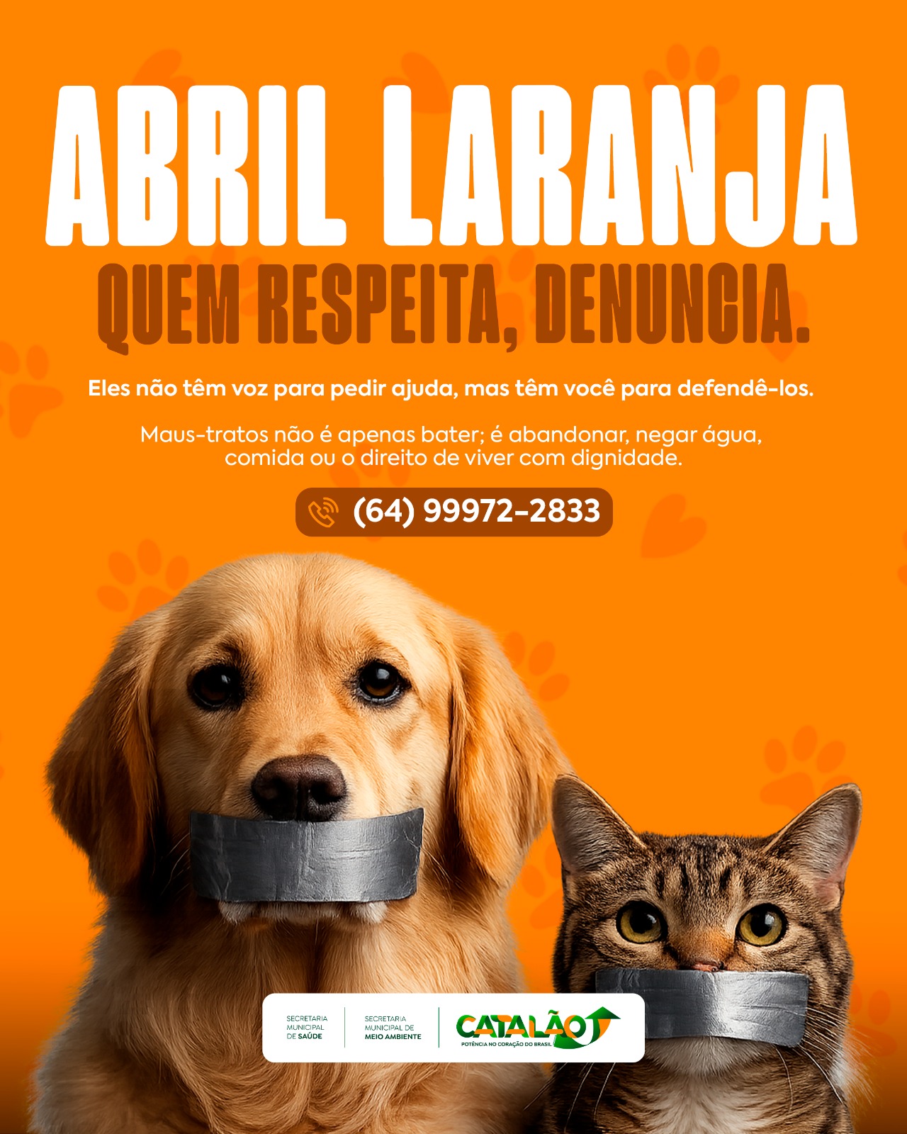 spot_img