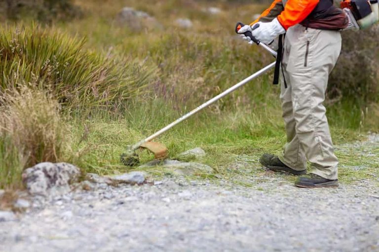 Prefeitura de Catalão notifica proprietários para limpeza de lotes até 31 de janeiro