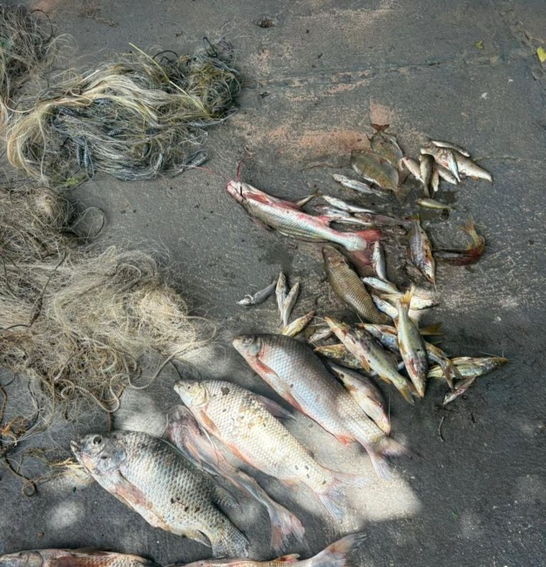 Operação conjunta flagra pesca ilegal e prende homem em Três Ranchos