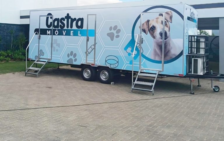 Castração gratuita em Catalão: cadastro começa dia 30 para mutirão de abril