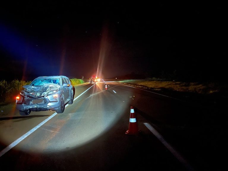 Ciclista morre após ser atingido por carro na BR-050 em Campo Alegre de Goiás