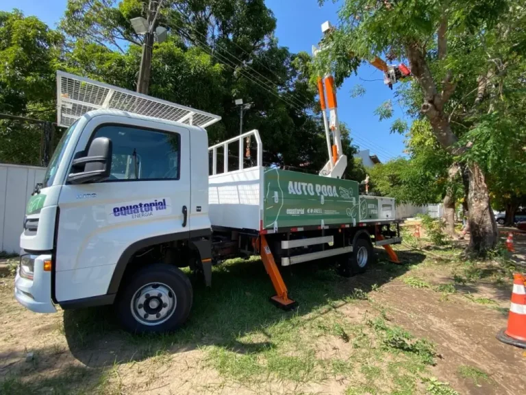 Podas de árvores e quedas de energia: Equatorial esclarece situação em Catalão