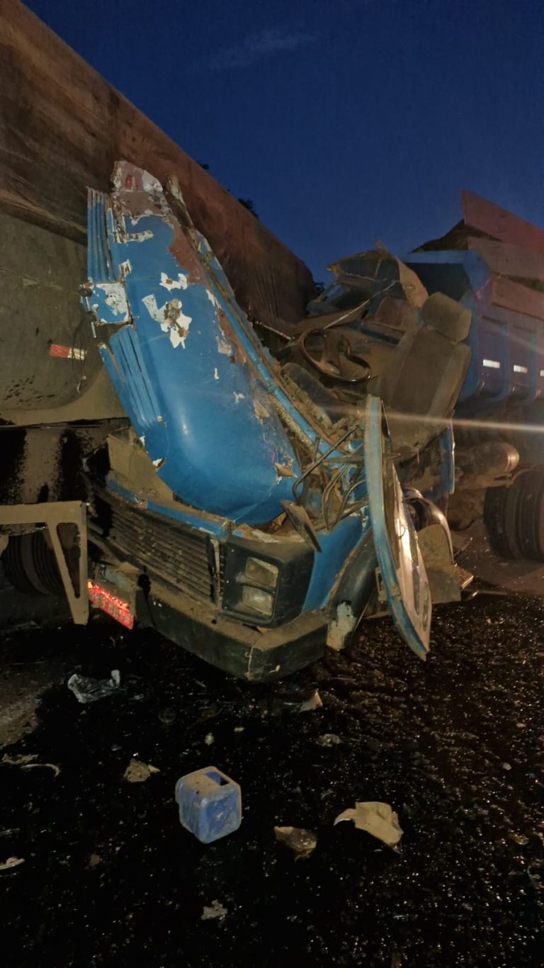 Caminhoneiro morre em grave acidente na BR-050 entre Catalão e Araguari