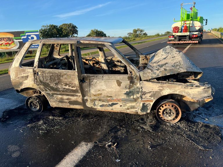 Veículo fica destruído após incêndio na BR-050, em Catalão