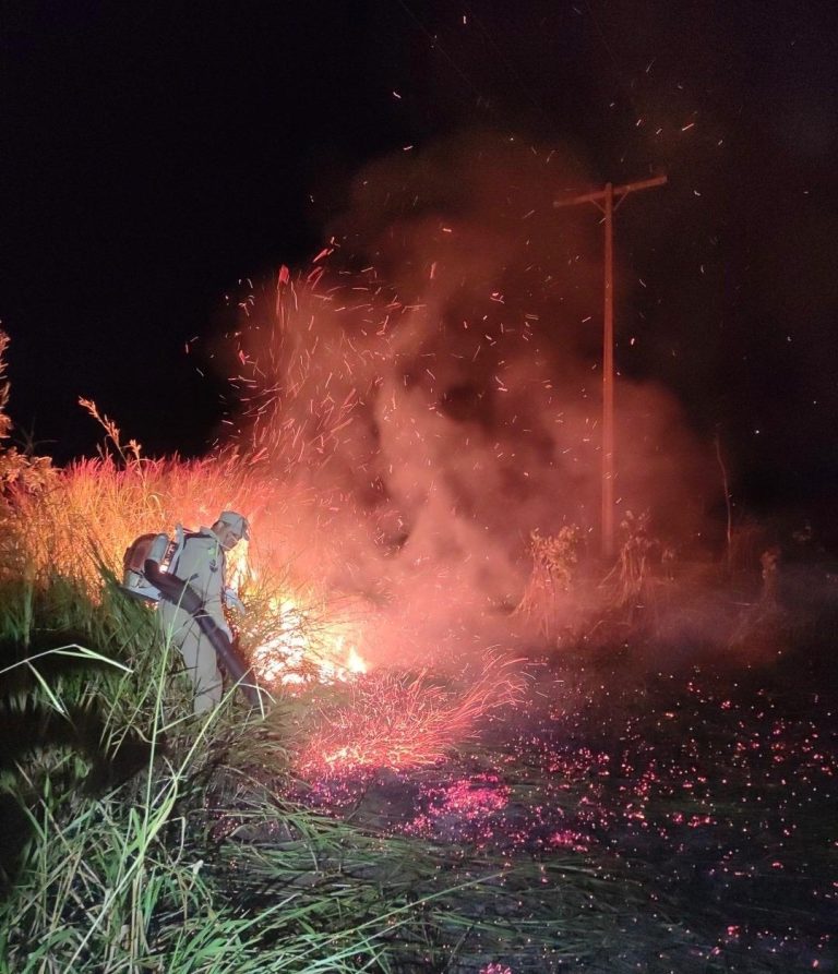 Incêndio de grandes proporções atinge vegetação às margens da BR-050, em Campo Alegre de Goiás