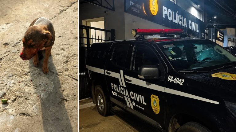 “O cachorro avançou contra ela”, relata delegado sobre caso de cachorro agredido em fazenda de Três Ranchos
