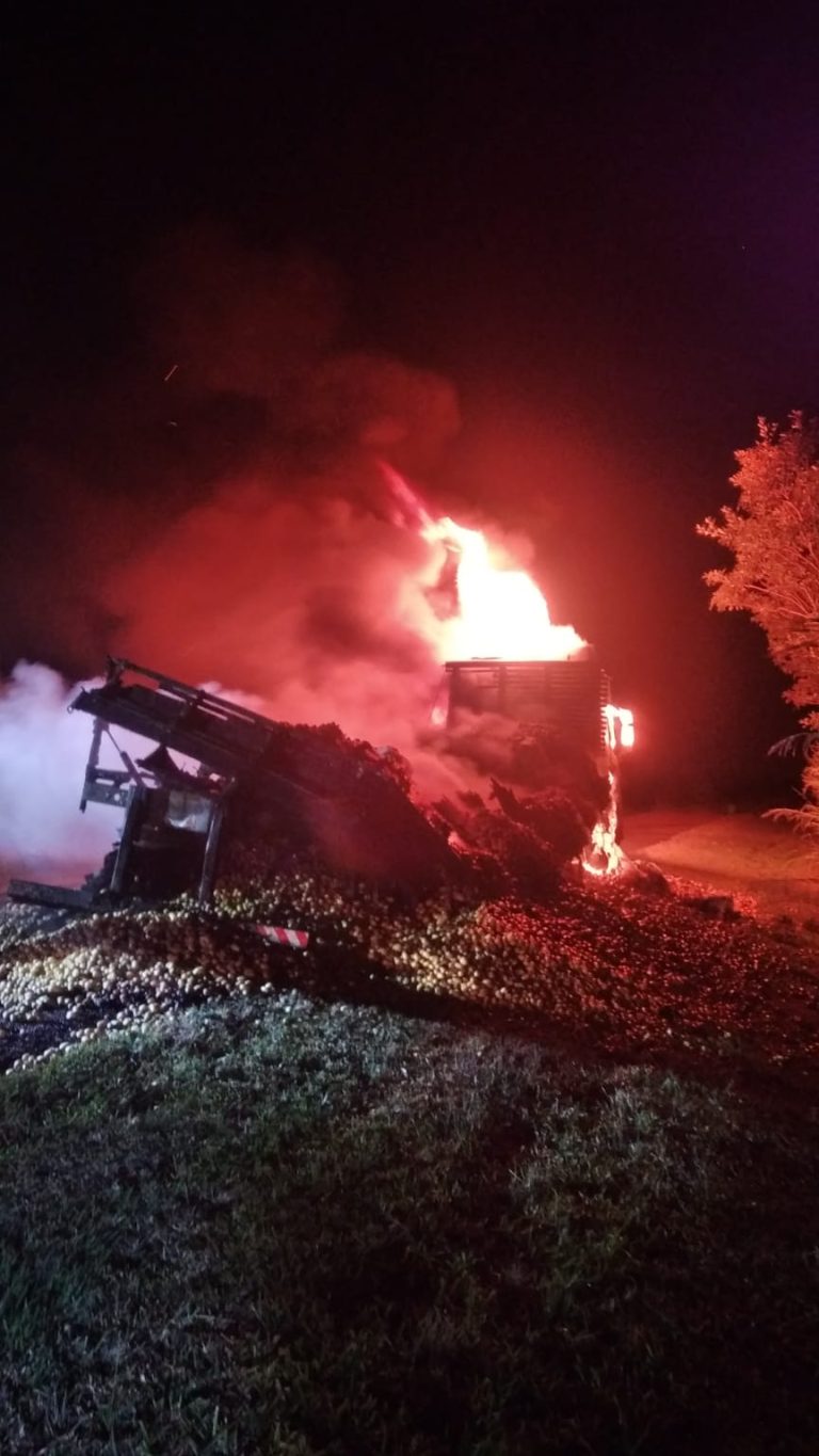 Incêndio destrói caminhão carregado com batatas na BR-050, em Campo Alegre de Goiás