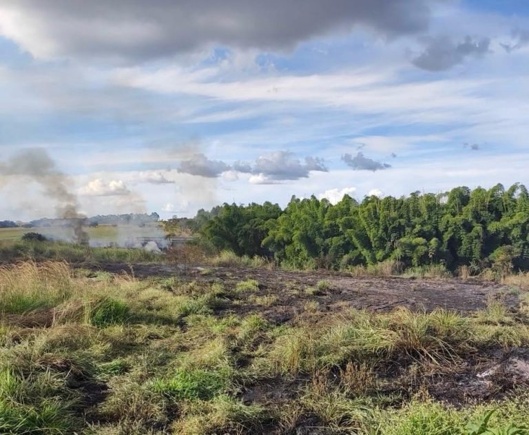 Incêndio em vegetação destrói 3 hectares às margens da GO-330, em Ipameri