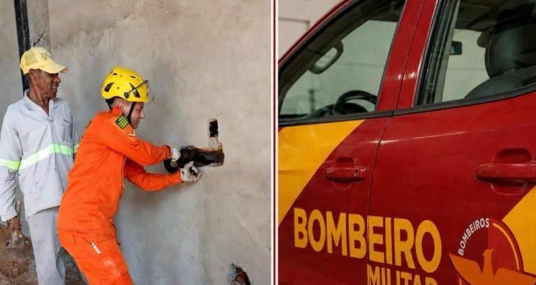 Bombeiros resgatam gato preso entre paredes de obra no centro de Ipameri