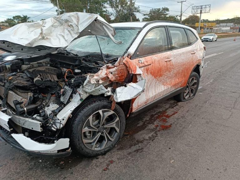 Cantor Israel sofre acidente após atropelar cavalo na BR-153, em Goiânia