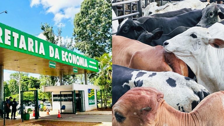 Mais de 10 mil produtores rurais podem ter dívidas de ICMS perdoadas em Goiás